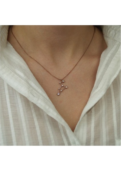 Pembe Zirkon Taşlı Aslan Burcu Gümüş Kolye, Şık ve Özel Tasarım, 925 Ayar fiyatları