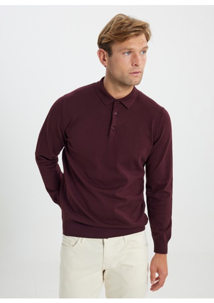 Polo Yaka Standart Bordo Erkek Kazak ACE492510014_TRIKO Polo Yaka fırsatları
