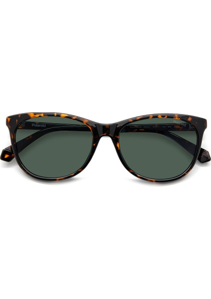 Yeşil Kadın Güneş Gözlüğü 20672908655UC fırsatları