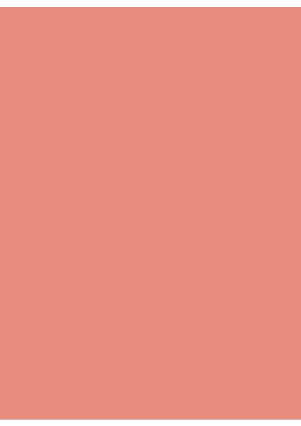 Terra 24 Blush 02 Pdr Allık