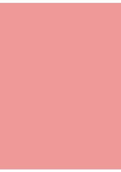 Terra 24 Blush 00 Pdr Allık