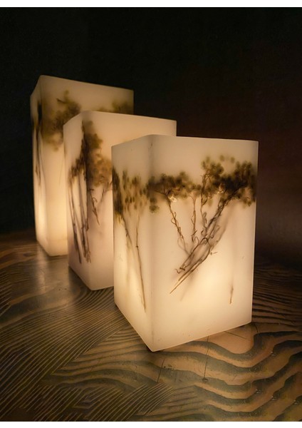 Çok Renkli Mumluk Mimoza Kare Tealight 3'lü Takım fırsatları