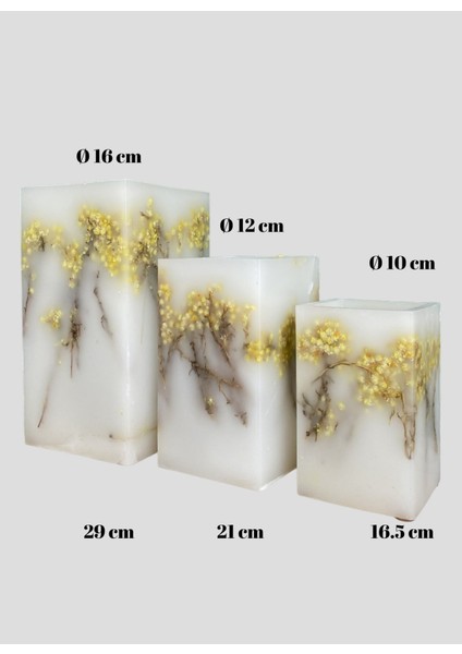 Çok Renkli Mumluk Mimoza Kare Tealight 3'lü Takım indirimleri