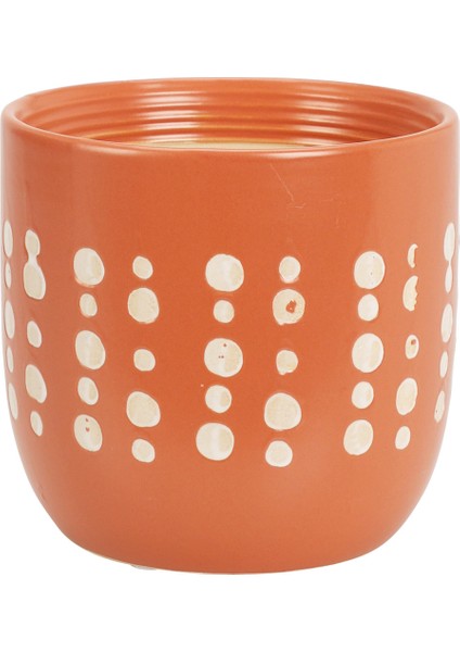 Çok Renkli Saksı Flowerpot Gazled 3ASS modelleri