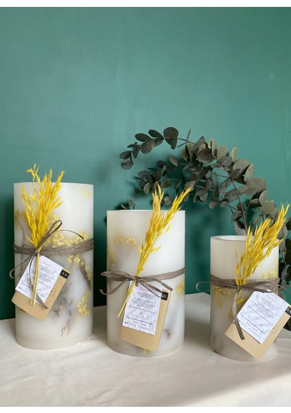 Çok Renkli Mumluk Mimoza Silindir Tealight 3'lü Takım