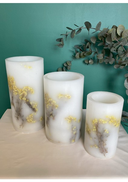 Çok Renkli Mumluk Mimoza Silindir Tealight 3'lü Takım
