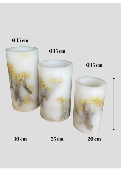 Çok Renkli Mumluk Mimoza Silindir Tealight 3'lü Takım