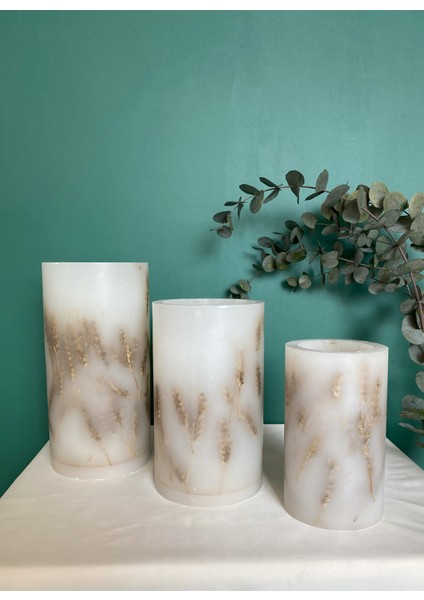 Çok Renkli Mumluk Buğdaylı Slndr Tealight 3'lü Takım