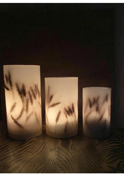 Çok Renkli Mumluk Buğdaylı Slndr Tealight 3'lü Takım