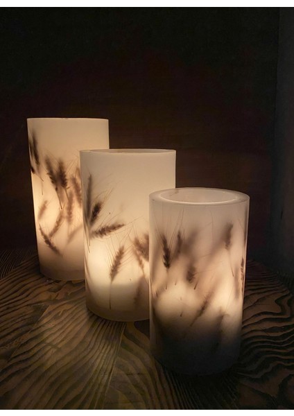 Çok Renkli Mumluk Buğdaylı Slndr Tealight 3'lü Takım
