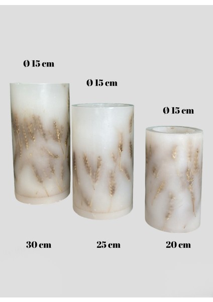 Çok Renkli Mumluk Buğdaylı Slndr Tealight 3'lü Takım