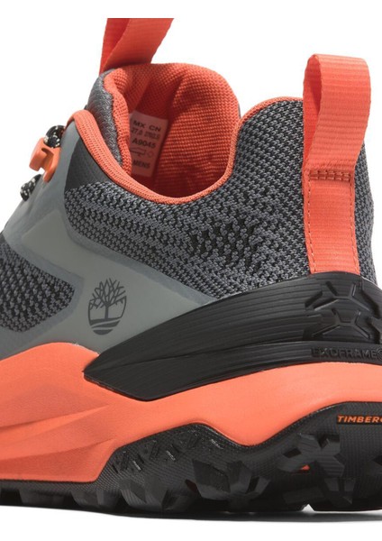 Gri Erkek Outdoor Ayakkabısı TB0A6DJKENO1_MOTION Access Low Lace