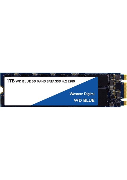 Blue, 2tb, Dahili Pc Ssd, Sata M.2 - WDS200T2B0B