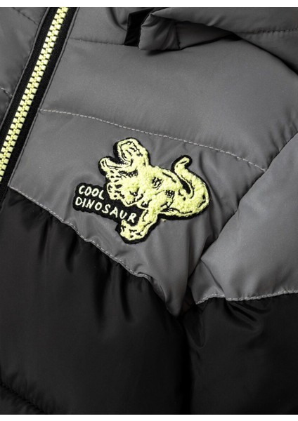 Siyah Erkek Şişme Mont 13231304 modelleri