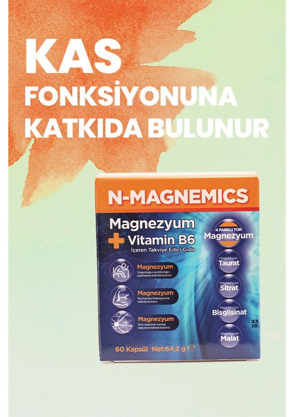 Vitamin B6 İçeren Takviye Edici Gıda