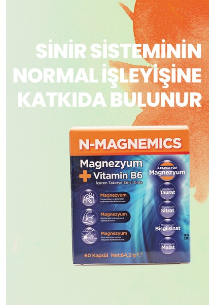 Vitamin B6 İçeren Takviye Edici Gıda