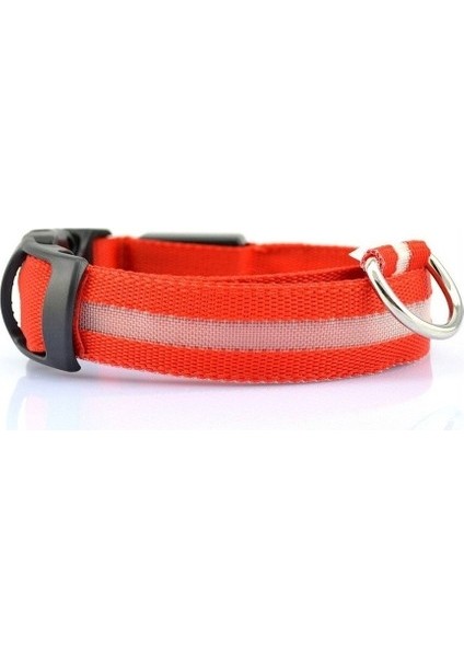 Köpek Tasması Pet Işıklı Yaka USB Şarj Edilebilir Tel Örgü Işıklı Yaka Köpek Işıklı Yaka (Yurt Dışından)