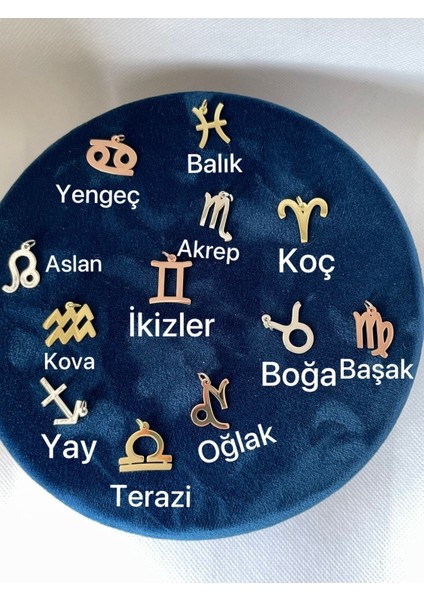 Gümüş Aslan Burcu Kolye - Aslan Kolye - Aslan Burcu - Burç Kolye - Gümüş Kadın Kolye modelleri