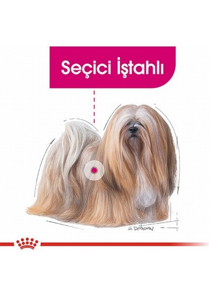 Ccn Exigent Loaf Pate Pouch Küçük Irk Yetişkin Köpek Konservesi 12 Adet 85 gr fiyatları