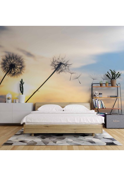 Gökyüzü ve Bulut Manzaralı fiyatları