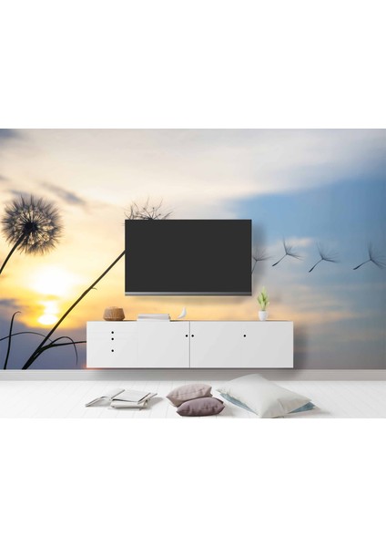 Gökyüzü ve Bulut Manzaralı modelleri