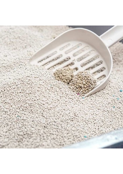 Proline Lavanta Kokulu Topaklanan Bentonit Kedi Kumu 20 Lt - TT-102