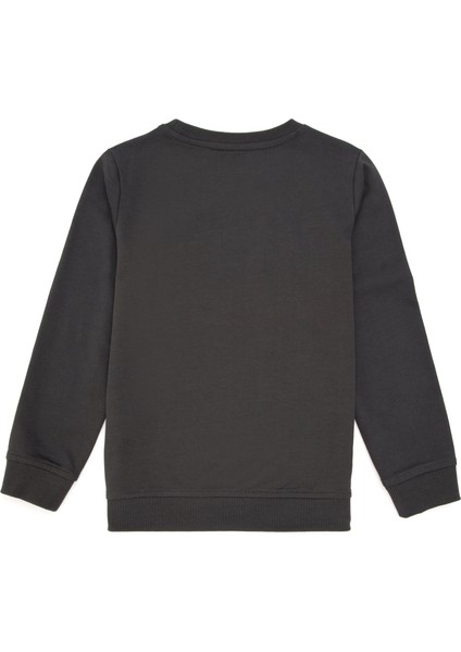 U.S. Polo Assn.  Erkek Çocuk Antrasit Sweatshirt 50293617-VR006