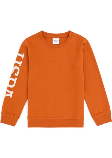 Erkek Çocuk Tarçın Sweatshirt 50293643-VR191