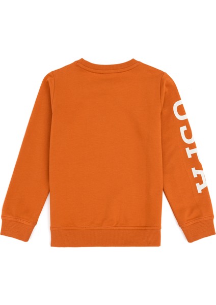 Erkek Çocuk Tarçın Sweatshirt 50293643-VR191