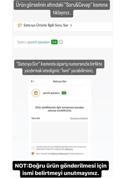 Punch Nakışı ile Işlenmiş Dekoratif Kırlent Kılıfı (%100 El Işlemesi)