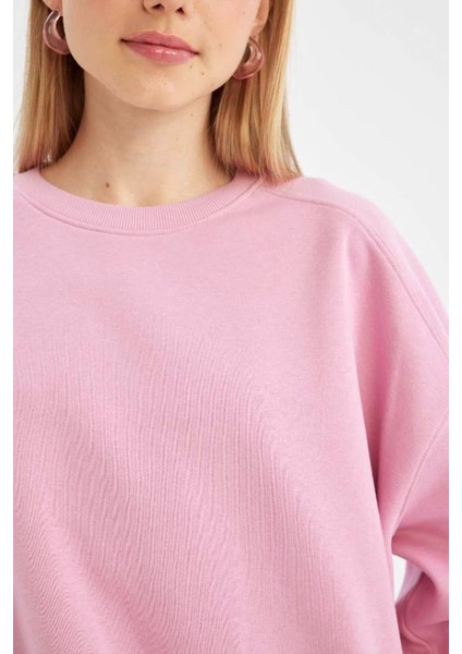 Kadın Sweatshirt Pembe A4177AX/PN450