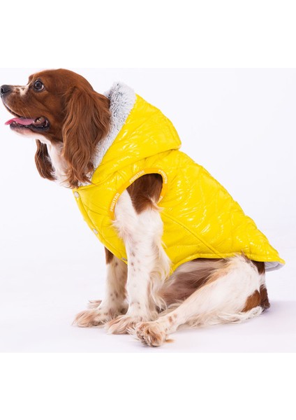 Sarı Light Wave Anorak Yelek Köpek Yeleği Köpek Kıyafeti Köpek Yağmurluk