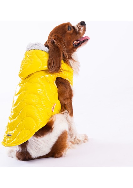 Sarı Light Wave Anorak Yelek Köpek Yeleği Köpek Kıyafeti Köpek Yağmurluk