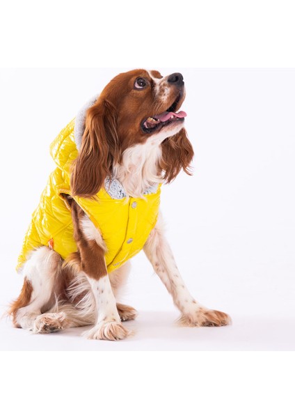 Sarı Light Wave Anorak Yelek Köpek Yeleği Köpek Kıyafeti Köpek Yağmurluk modelleri