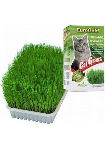 Eurogold Cat Grass Kedi Çimi fiyatları
