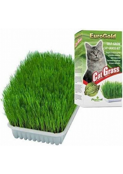 Eurogold Cat Grass Kedi Çimi fırsatları