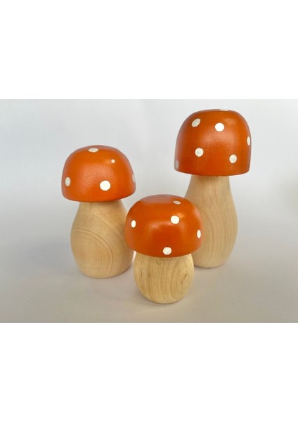 Waldorf Organik Doğal Ahşap Mantar Oyuncak Set 3lü Bebek Çocuk Odası Dekor Fotoğraf Çekimi