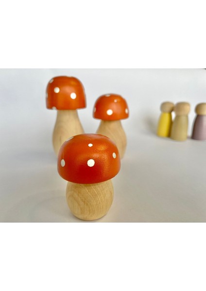 Waldorf Organik Doğal Ahşap Mantar Oyuncak Set 3lü Bebek Çocuk Odası Dekor Fotoğraf Çekimi modelleri
