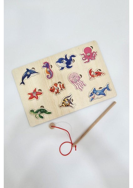 Ahşap Balık Tutma Oyunu modelleri