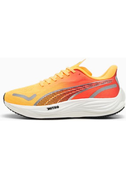 Velocity Nıtro 3