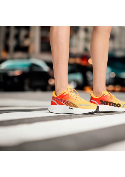 Velocity Nıtro 3