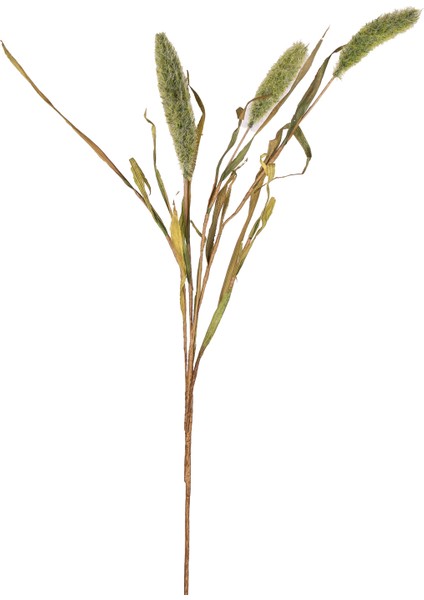 Yapay Bitki Setaria Pamuk (Kirpi Darı) Yeşil 90 cm .