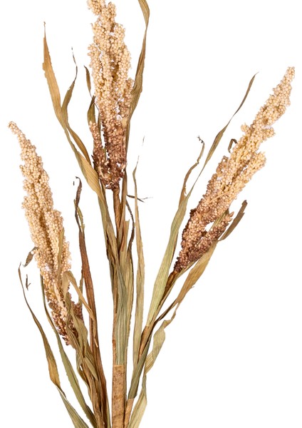 Yapay Bitki Sorgum Krem 63 cm . fiyatları
