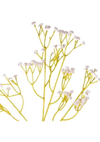 Yapay Çiçek Cipso Gypso Beyaz 63 Cm. fiyatları