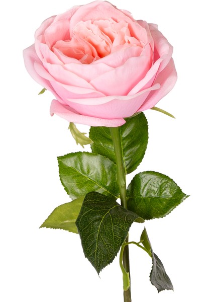 Yapay Çiçek Islak Dokulu Gül Açık Pembe 48 cm . fiyatları