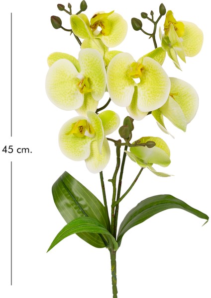 Yapay Orkide Gerçek Dokunuş Yeşil 45 cm . fırsatları