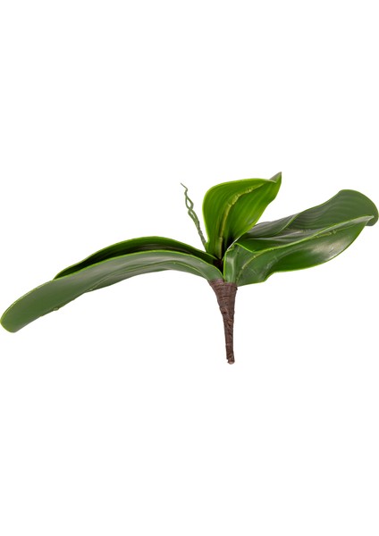 Yapay Bitki Orkide Yaprağı Yeşil 23 Cm.