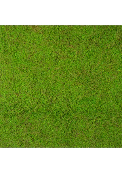 Yapay Yosun Duvar Dekoru Tabaka Koyu Yeşil 100X100 cm .