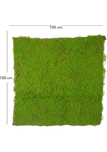 Yapay Yosun Duvar Dekoru Tabaka Koyu Yeşil 100X100 cm . modelleri