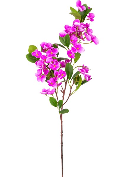 Yapay Islak Dokulu Sütleğen Çiçek Mor 77 cm .